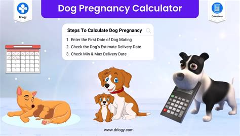 dog due date calculator|Dog Pregnancy Calculator 